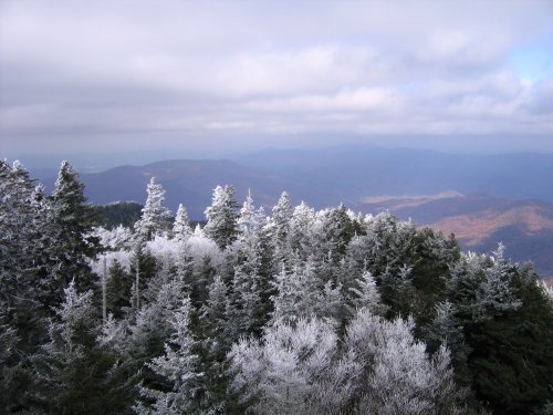 View from Mt. Sterling fire tower