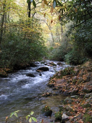 A pretty stretch of trail