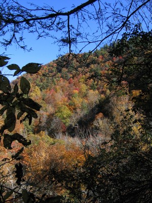 The Smoky Mountains in Fall