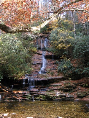 Tom Branch Falls