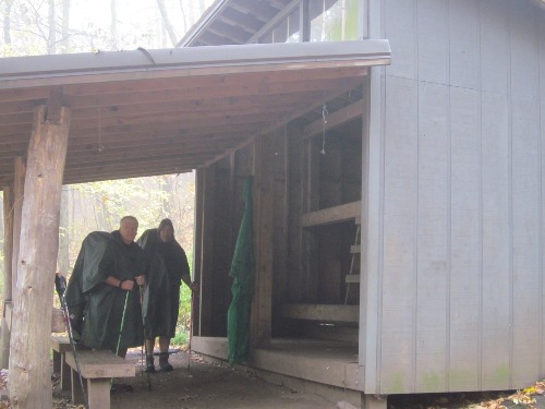 Sassafras shelter in the rain