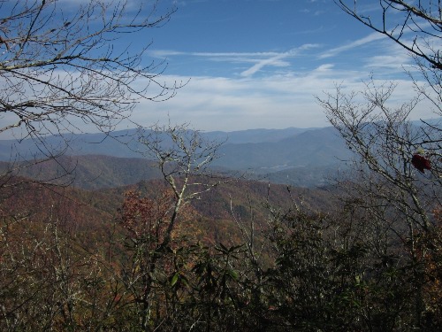 A view from the trail