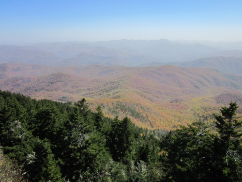 View from tower