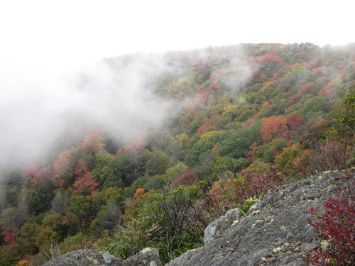 Color in the mountains