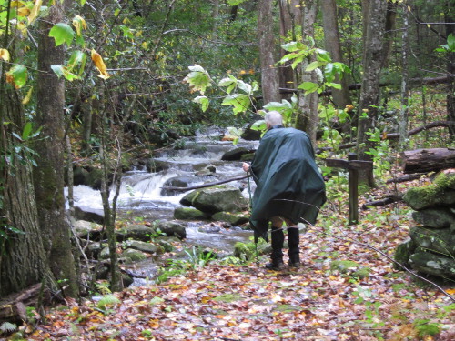 Dad surveying a creek crossing