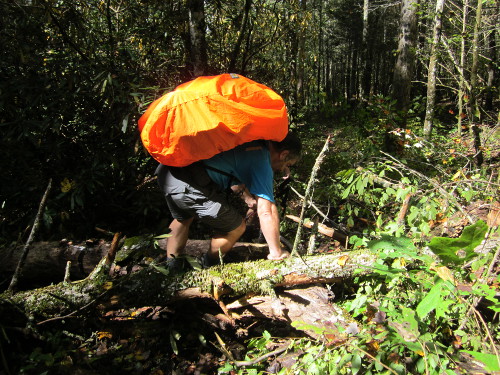 Tree down in trail