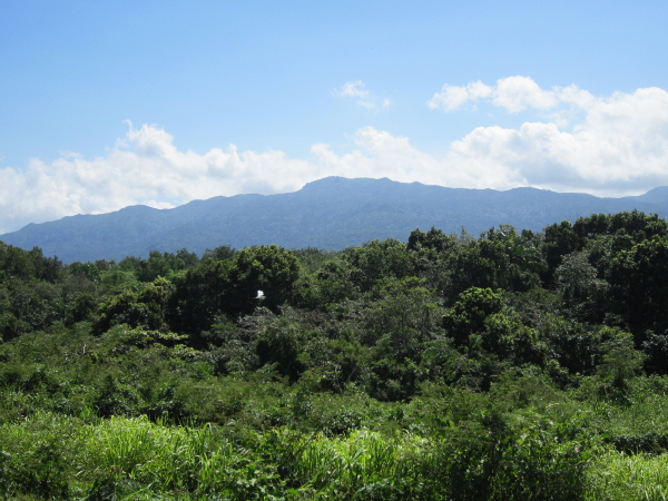 Distant view of El Yunque rainforest