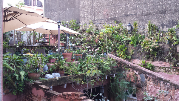 One of the courtyards in the Gallery Inn