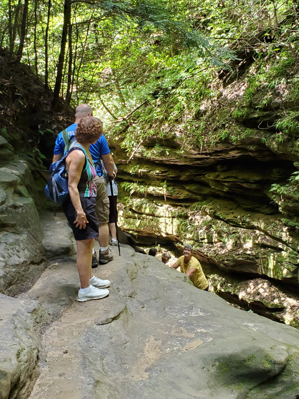 Heading over a cliff