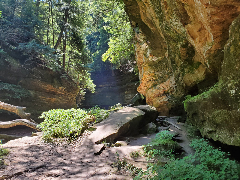 A section of trail #7 into Turkey Run Hollow