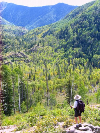 Kathy looks out over Animas River valley