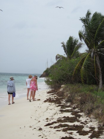 Beachcombing on Petite Bateau