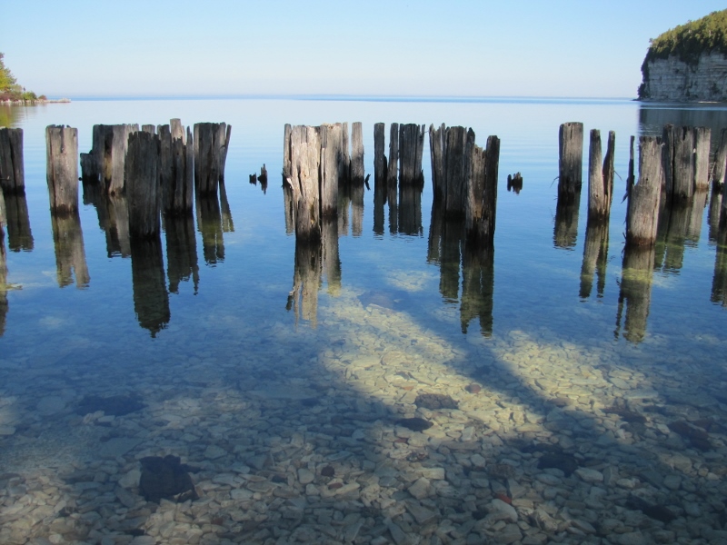 Dock pilings