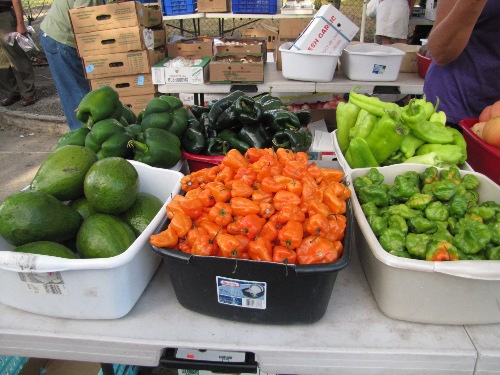 Scenes from the Farmers' market